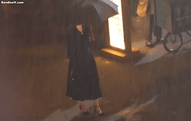 honeycam 2025 08 03 18 29 46