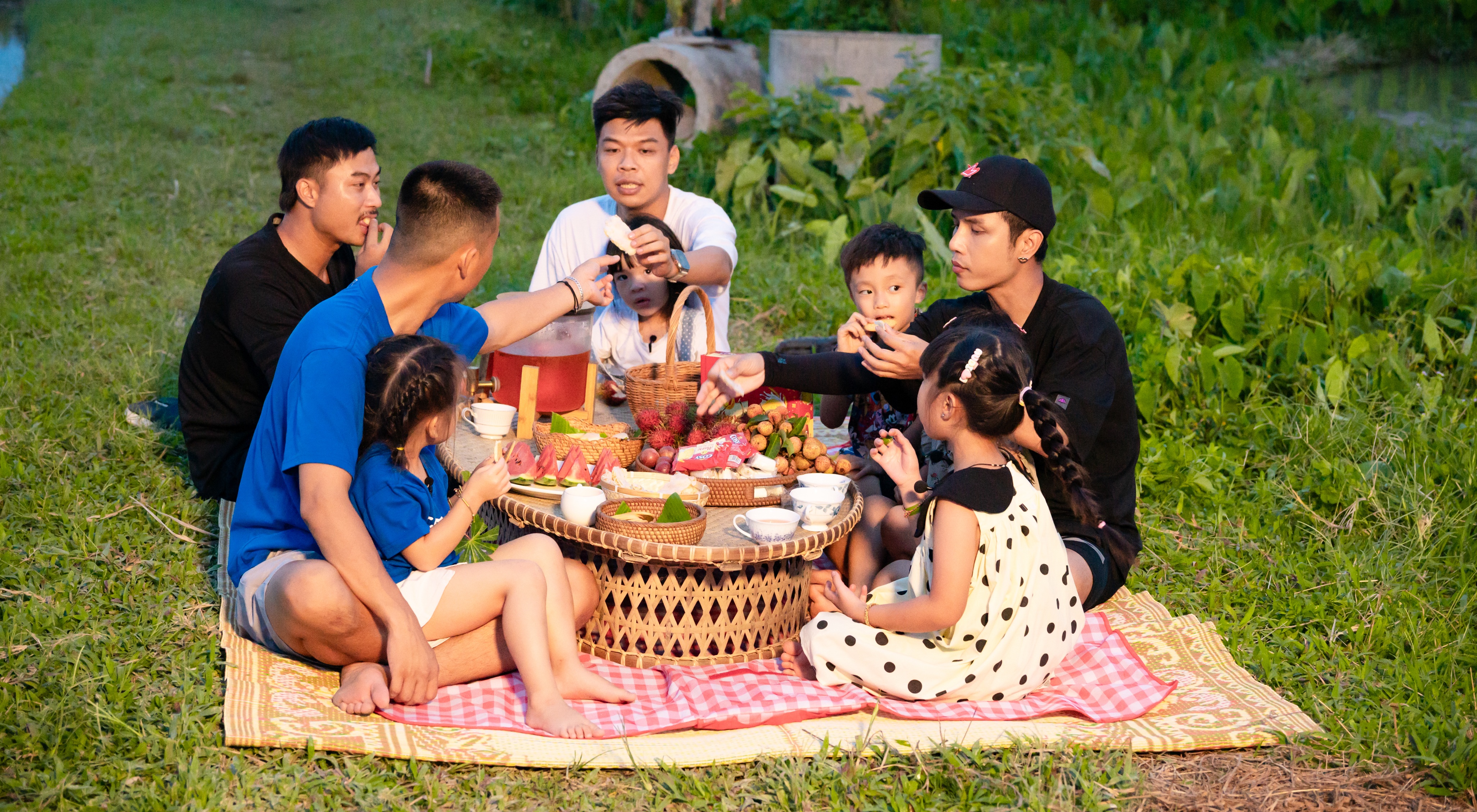cac bo con co buoi picnic ngoai ruong