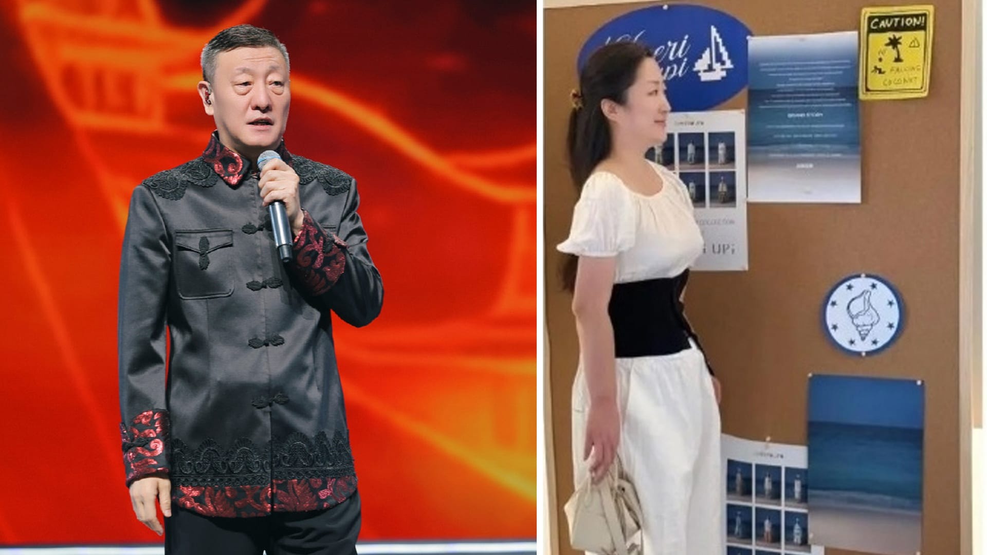 chinesesingerhanleiaccusedi