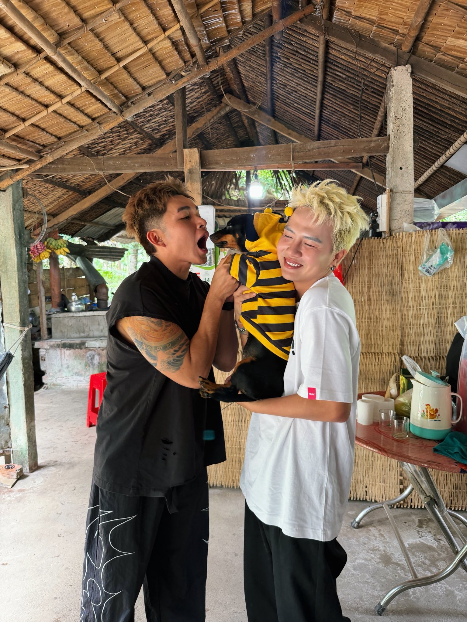 55809273213905600524393957340217610493655542n