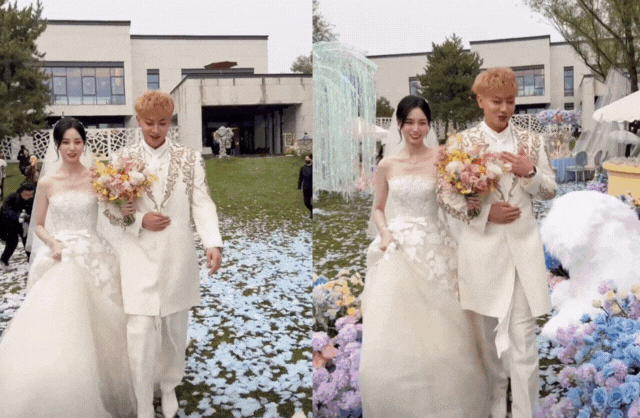 ezgif 20c6962ea646da