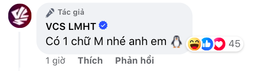 Chính thức lộ diện MC thay thế Minh Nghi, làm chủ "ghế nóng" tại VCS? - Ảnh 6. Chính thức lộ diện MC thay thế Minh Nghi, làm chủ "ghế nóng" tại VCS? - Ảnh 6.