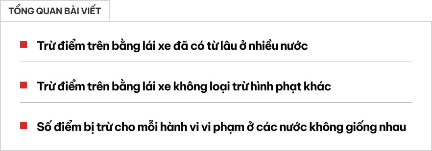 Nhiều nước áp dụng trừ điểm trên bằng lái xe từ lâu: Không chỉ bị treo bằng mà muốn lấy lại bằng còn khó hơn người bình thường - Ảnh 1.