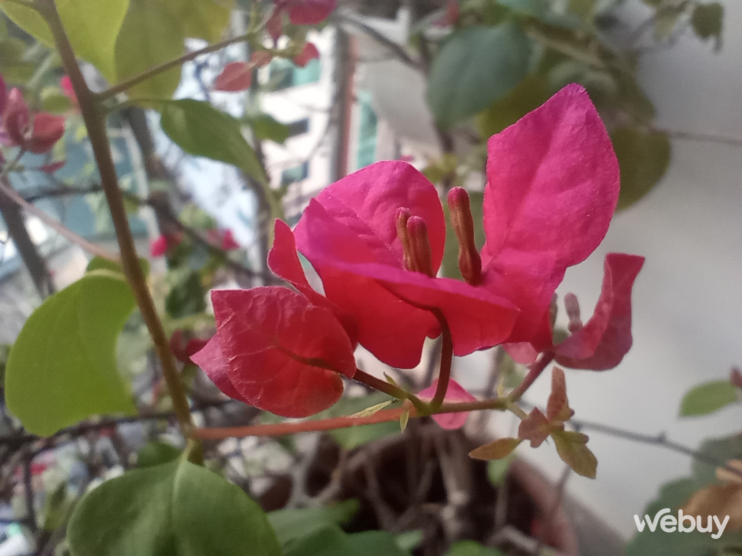 Đánh giá Redmi 13C: Smartphone giá 'sinh viên' với màn hình lớn tần số 90Hz, camera chính 50MP- Ảnh 21. Đánh giá Redmi 13C: Smartphone giá 'sinh viên' với màn hình lớn tần số 90Hz, camera chính 50MP- Ảnh 21.