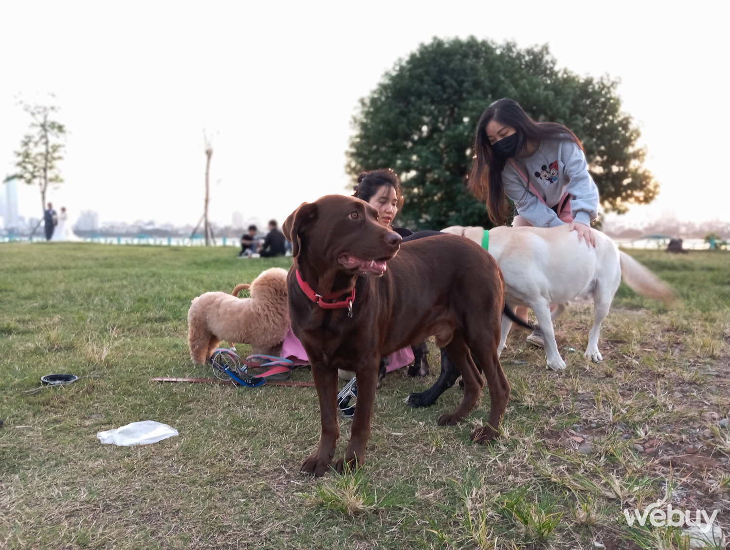 Đánh giá Redmi 13C: Smartphone giá 'sinh viên' với màn hình lớn tần số 90Hz, camera chính 50MP- Ảnh 16. Đánh giá Redmi 13C: Smartphone giá 'sinh viên' với màn hình lớn tần số 90Hz, camera chính 50MP- Ảnh 16.