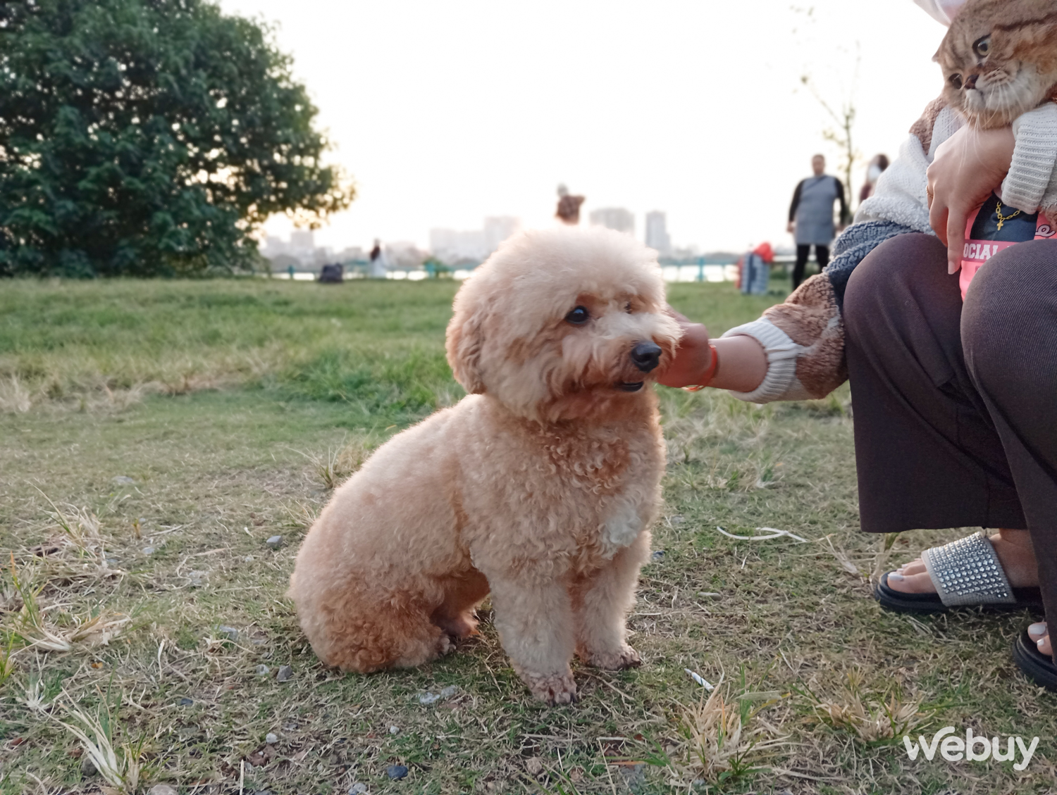 Đánh giá Redmi 13C: Smartphone giá 'sinh viên' với màn hình lớn tần số 90Hz, camera chính 50MP- Ảnh 17. Đánh giá Redmi 13C: Smartphone giá 'sinh viên' với màn hình lớn tần số 90Hz, camera chính 50MP- Ảnh 17.