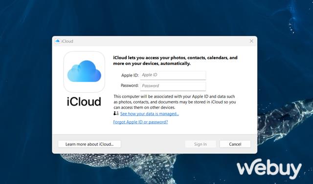 Cách truy cập và quản lý ảnh iCloud trên các thiết bị không phải của Apple- Ảnh 3. Cách truy cập và quản lý ảnh iCloud trên các thiết bị không phải của Apple- Ảnh 3.