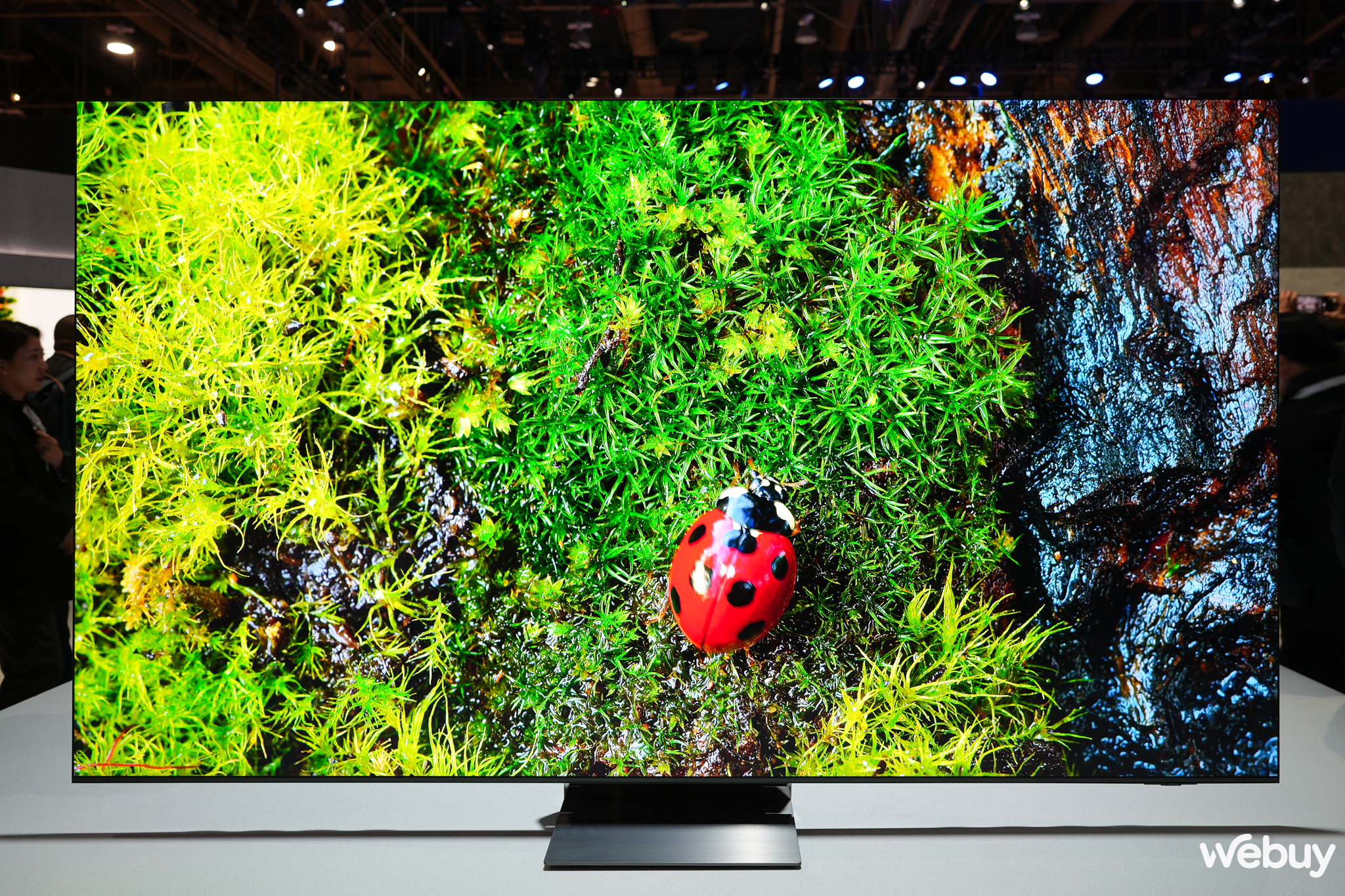 Cận cảnh loạt TV Samsung mới tại CES 2024: Thiết kế ấn tượng, hình âm đẳng cấp, đặc biệt choáng ngợp với mẫu MICRO LED trong suốt- Ảnh 7. Cận cảnh loạt TV Samsung mới tại CES 2024: Thiết kế ấn tượng, hình âm đẳng cấp, đặc biệt choáng ngợp với mẫu MICRO LED trong suốt- Ảnh 7.