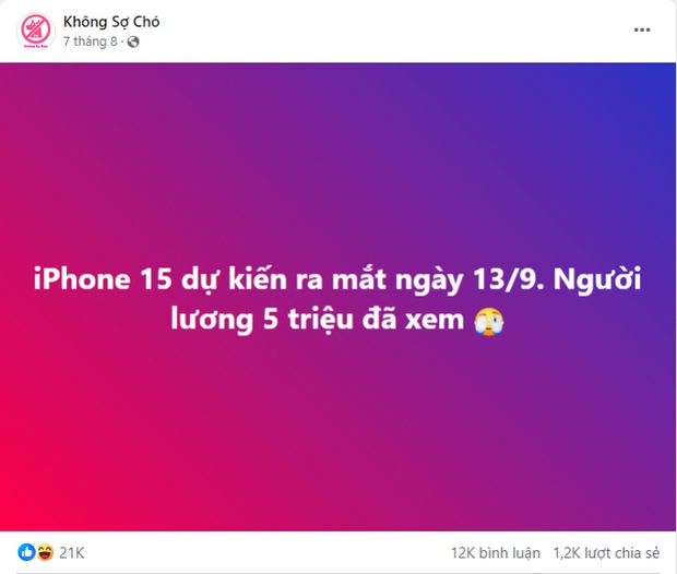 Hành trình 10 năm tạo dấu ấn trên không gian mạng xã hội của fanpage Không Sợ Chó- Ảnh 2.