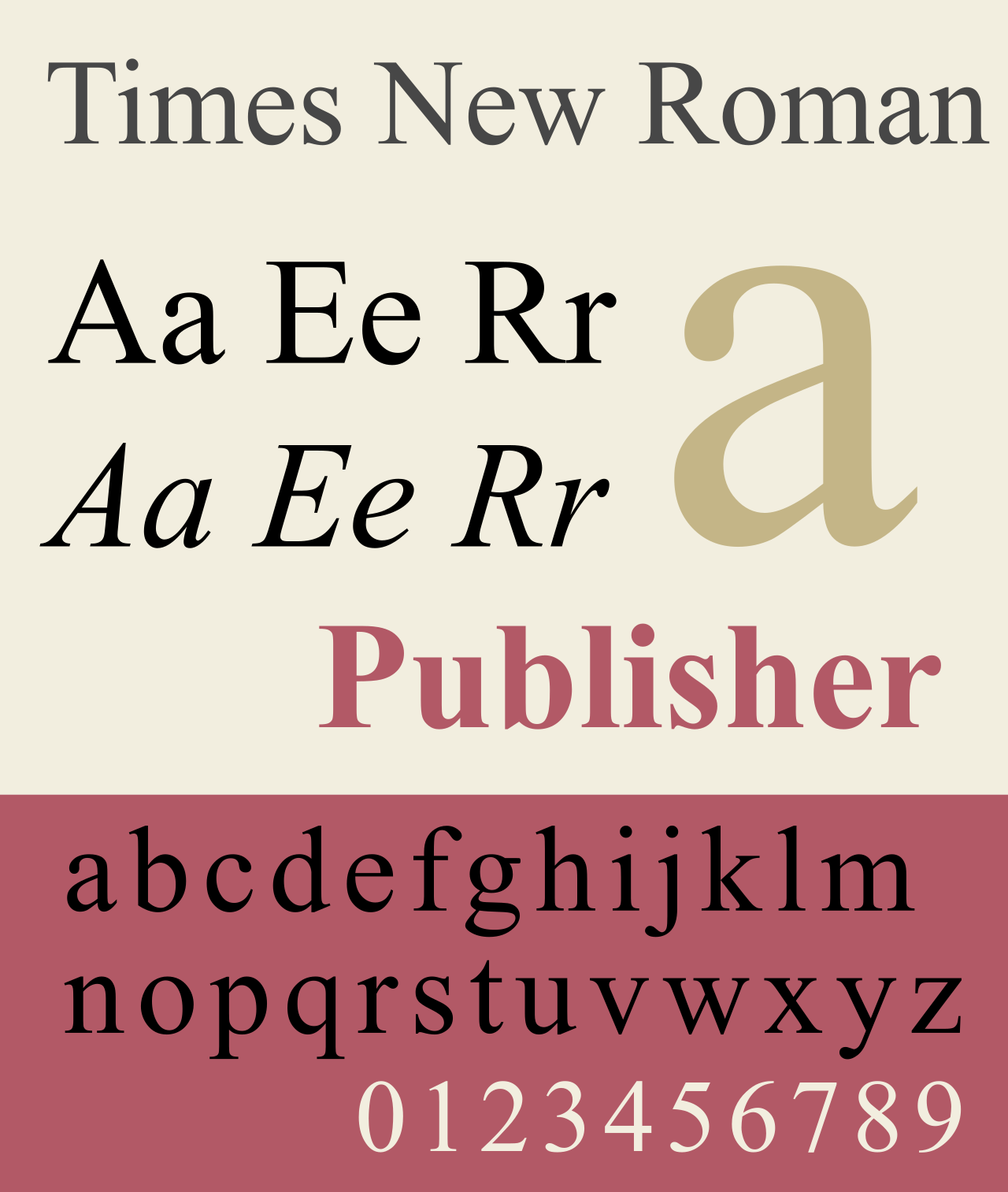 Times_New_Roman-sample.svg.png