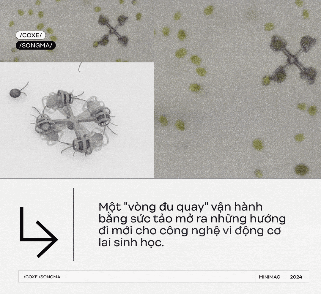 Các kỹ sư Nhật Bản vừa tạo ra Các kỹ sư Nhật Bản vừa tạo ra