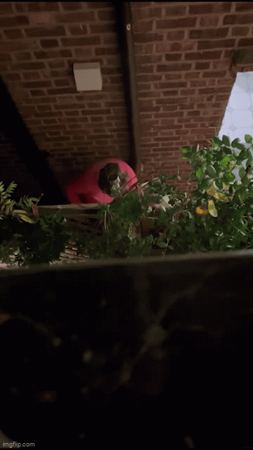 Bếp tự dưng ẩm mốc, sửa mất cả trăm triệu, gia chủ kiểm tra camera mới tá hỏa phát hiện là do hàng xóm - Ảnh 1. Bếp tự dưng ẩm mốc, sửa mất cả trăm triệu, gia chủ kiểm tra camera mới tá hỏa phát hiện là do hàng xóm - Ảnh 1.