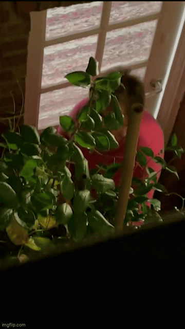 Bếp tự dưng ẩm mốc, sửa mất cả trăm triệu, gia chủ kiểm tra camera mới tá hỏa phát hiện là do hàng xóm - Ảnh 2. Bếp tự dưng ẩm mốc, sửa mất cả trăm triệu, gia chủ kiểm tra camera mới tá hỏa phát hiện là do hàng xóm - Ảnh 2.