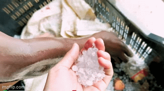 Tai nạn mới tàn phá nghiêm trọng trang trại của Quang Linh, phản ứng của chủ tịch gây chú ý - Ảnh 2. Tai nạn mới tàn phá nghiêm trọng trang trại của Quang Linh, phản ứng của chủ tịch gây chú ý - Ảnh 2.
