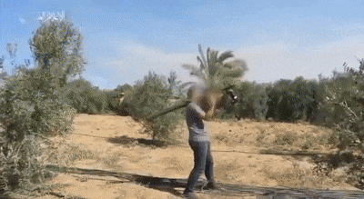 Săn lùng tăng Merkava bằng đạn chống tăng tự chế, vậy Hamas đã chuẩn bị gì cho Apache của Israel? - Ảnh 1. Săn lùng tăng Merkava bằng đạn chống tăng tự chế, vậy Hamas đã chuẩn bị gì cho Apache của Israel? - Ảnh 1.