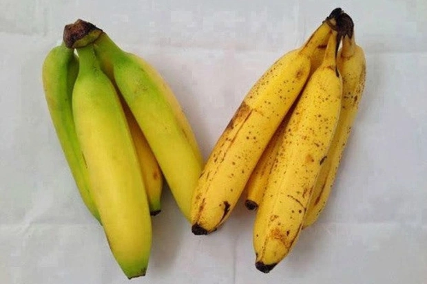 Mua chuối chọn quả thẳng hay cong? Chuyên gia chỉ cách phân biệt chuối ngâm hóa chất - Ảnh 5. Mua chuối chọn quả thẳng hay cong? Chuyên gia chỉ cách phân biệt chuối ngâm hóa chất - Ảnh 5.