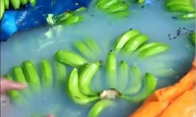 Mua chuối chọn quả thẳng hay cong? Chuyên gia chỉ cách phân biệt chuối ngâm hóa chất - Ảnh 3. Mua chuối chọn quả thẳng hay cong? Chuyên gia chỉ cách phân biệt chuối ngâm hóa chất - Ảnh 3.