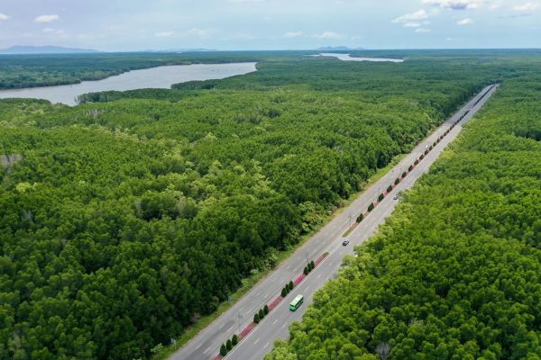 Phát hiện một “Amazon thu nhỏ” nằm ngay sát TP.HCM, du khách chỉ mất chưa tới 1 giờ chạy xe - Ảnh 1. Phát hiện một “Amazon thu nhỏ” nằm ngay sát TP.HCM, du khách chỉ mất chưa tới 1 giờ chạy xe - Ảnh 1.