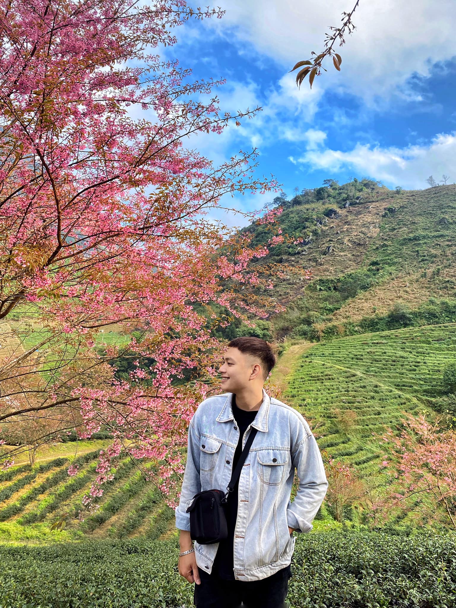 Phát hiện nơi có hoa mai anh đào cách thị trấn Sa Pa chỉ 8km: Thời gian nở rộ du khách cần lưu ý kẻo bỏ lỡ- Ảnh 9.