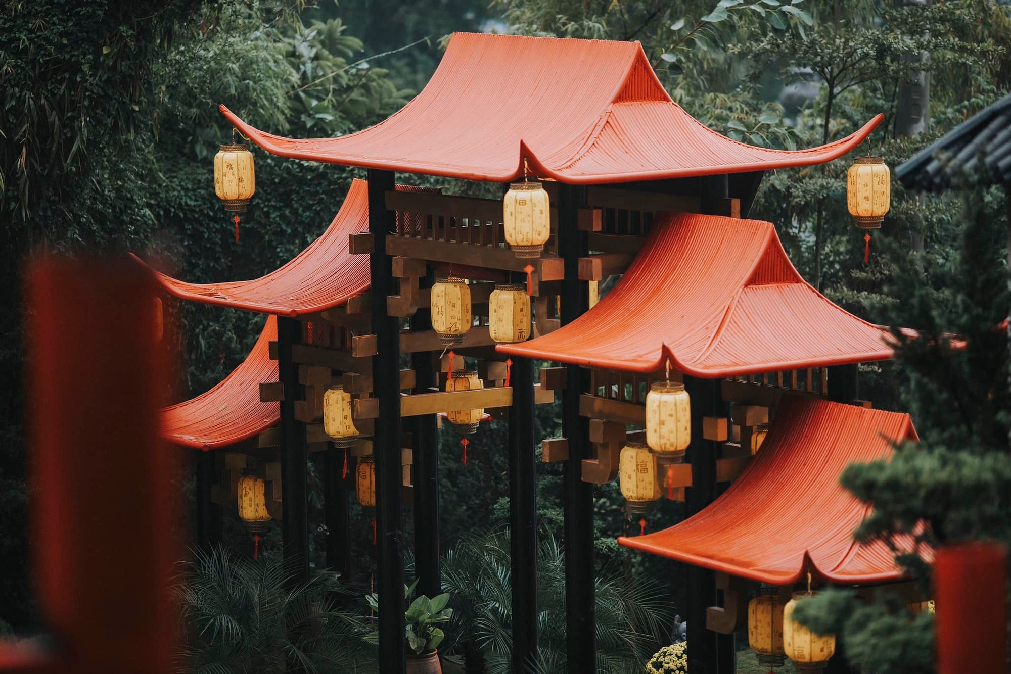 Phát hiện ngôi chùa có cây cổ thụ trăm tuổi, cách Hà Nội chỉ hơn 1 giờ lái xe, phù hợp đi lễ dịp đầu năm- Ảnh 8. Phát hiện ngôi chùa có cây cổ thụ trăm tuổi, cách Hà Nội chỉ hơn 1 giờ lái xe, phù hợp đi lễ dịp đầu năm- Ảnh 8.