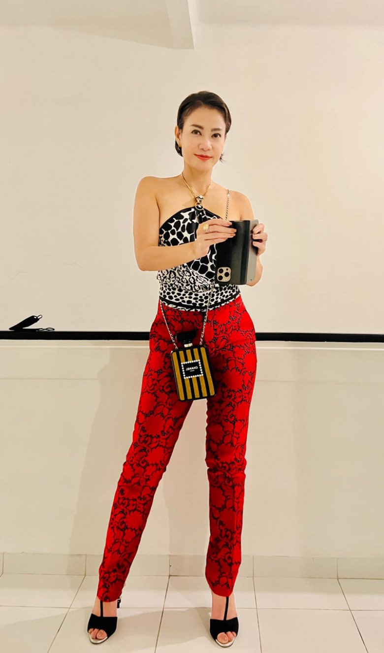 Cuộc sống của Thu Minh tuổi 47: Giàu có, hạnh phúc viên mãn nhưng thừa nhận những nhược điểm này- Ảnh 5.