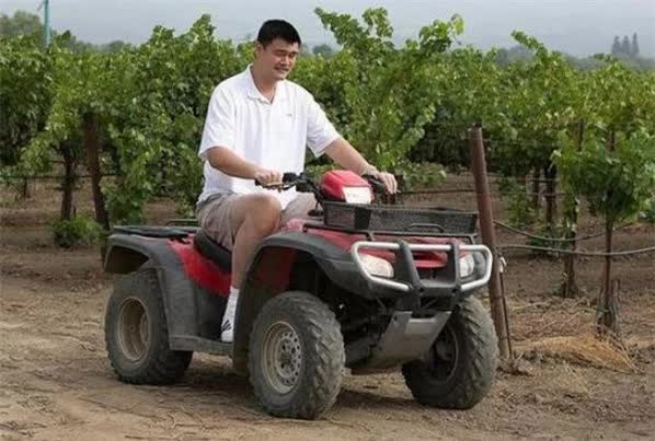 Huyền thoại Yao Ming: Giàu có, quyền lực nhưng từng khiến vợ 