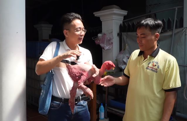 Chú gà trụi lông toàn thân, cặp chân cột đình hiếm cỡ nào mà chủ hô: 500 triệu mới bán?- Ảnh 3.