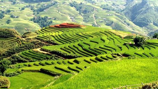 Thị xã được báo chí quốc tế ca ngợi đẹp bậc nhất thế giới: Từng lập kỷ lục nơi lạnh nhất Việt Nam- Ảnh 6.