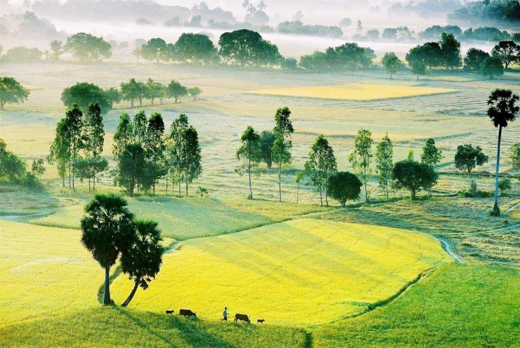 Sở hữu vùng đồng bằng phì nhiêu nhất Đông Nam Á, Việt Nam sẽ có cơ chế đặc thù cho mảnh đất này- Ảnh 6. Sở hữu vùng đồng bằng phì nhiêu nhất Đông Nam Á, Việt Nam sẽ có cơ chế đặc thù cho mảnh đất này- Ảnh 6.