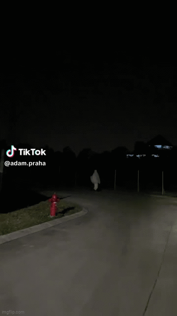 Thấy bóng áo trắng lướt như bay trên đường, người đàn ông nổi da gà nhưng đến gần thì cười muốn xỉu- Ảnh 1.