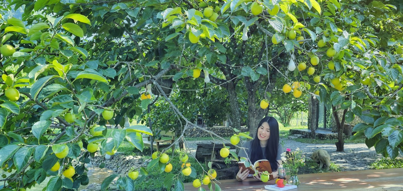 Người phụ nữ bê đá xây nhà giữa thung lũng, sống thuận tự nhiên, thu 2 tấn hồng/năm nhưng không bán- Ảnh 5. Người phụ nữ bê đá xây nhà giữa thung lũng, sống thuận tự nhiên, thu 2 tấn hồng/năm nhưng không bán- Ảnh 5.