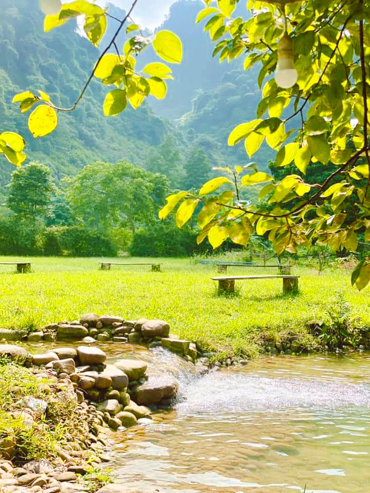 Người phụ nữ bê đá xây nhà giữa thung lũng, sống thuận tự nhiên, thu 2 tấn hồng/năm nhưng không bán- Ảnh 6. Người phụ nữ bê đá xây nhà giữa thung lũng, sống thuận tự nhiên, thu 2 tấn hồng/năm nhưng không bán- Ảnh 6.