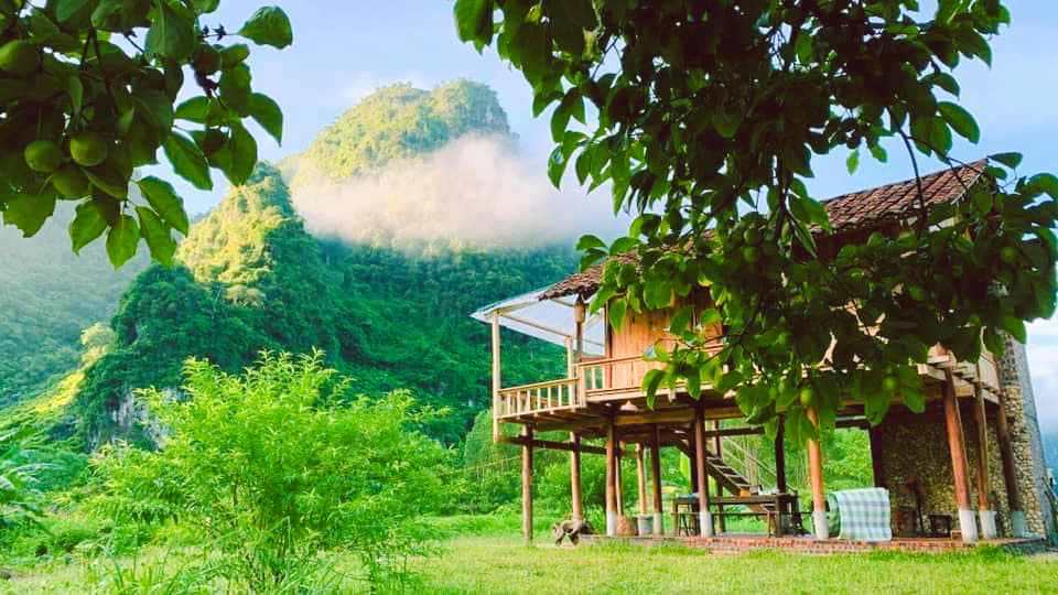 Người phụ nữ bê đá xây nhà giữa thung lũng, sống thuận tự nhiên, thu 2 tấn hồng/năm nhưng không bán- Ảnh 7. Người phụ nữ bê đá xây nhà giữa thung lũng, sống thuận tự nhiên, thu 2 tấn hồng/năm nhưng không bán- Ảnh 7.