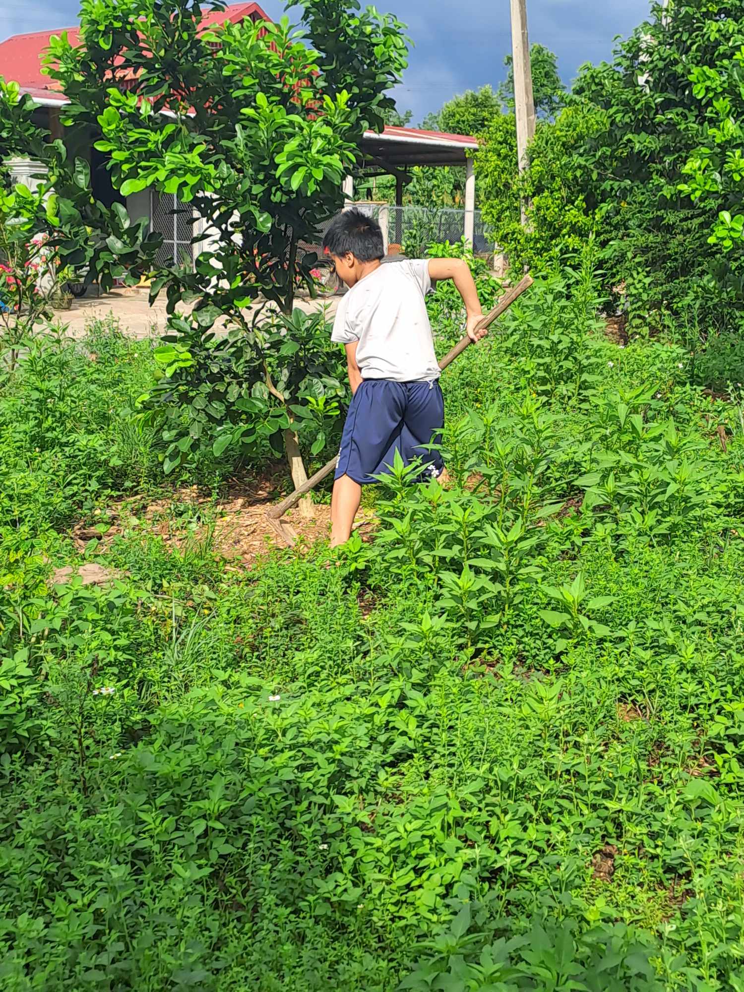 Vợ chồng trẻ 