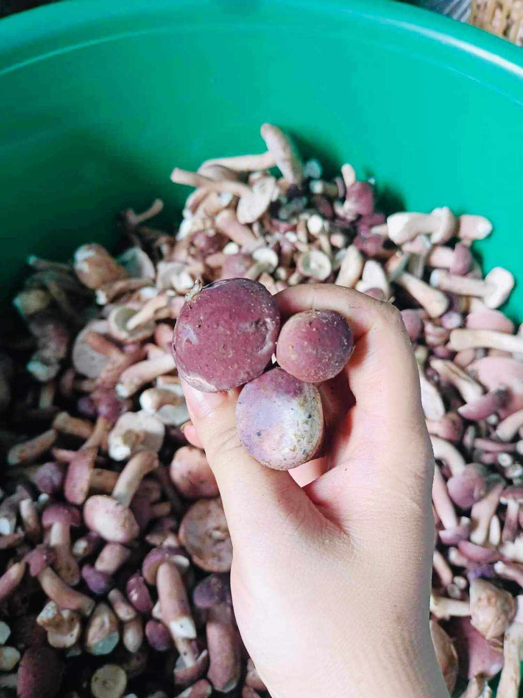 Vợ chồng trẻ 