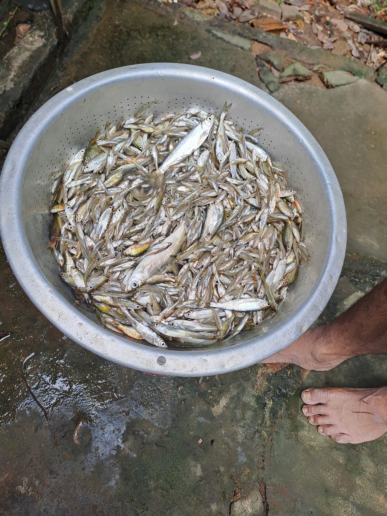Vợ chồng trẻ 