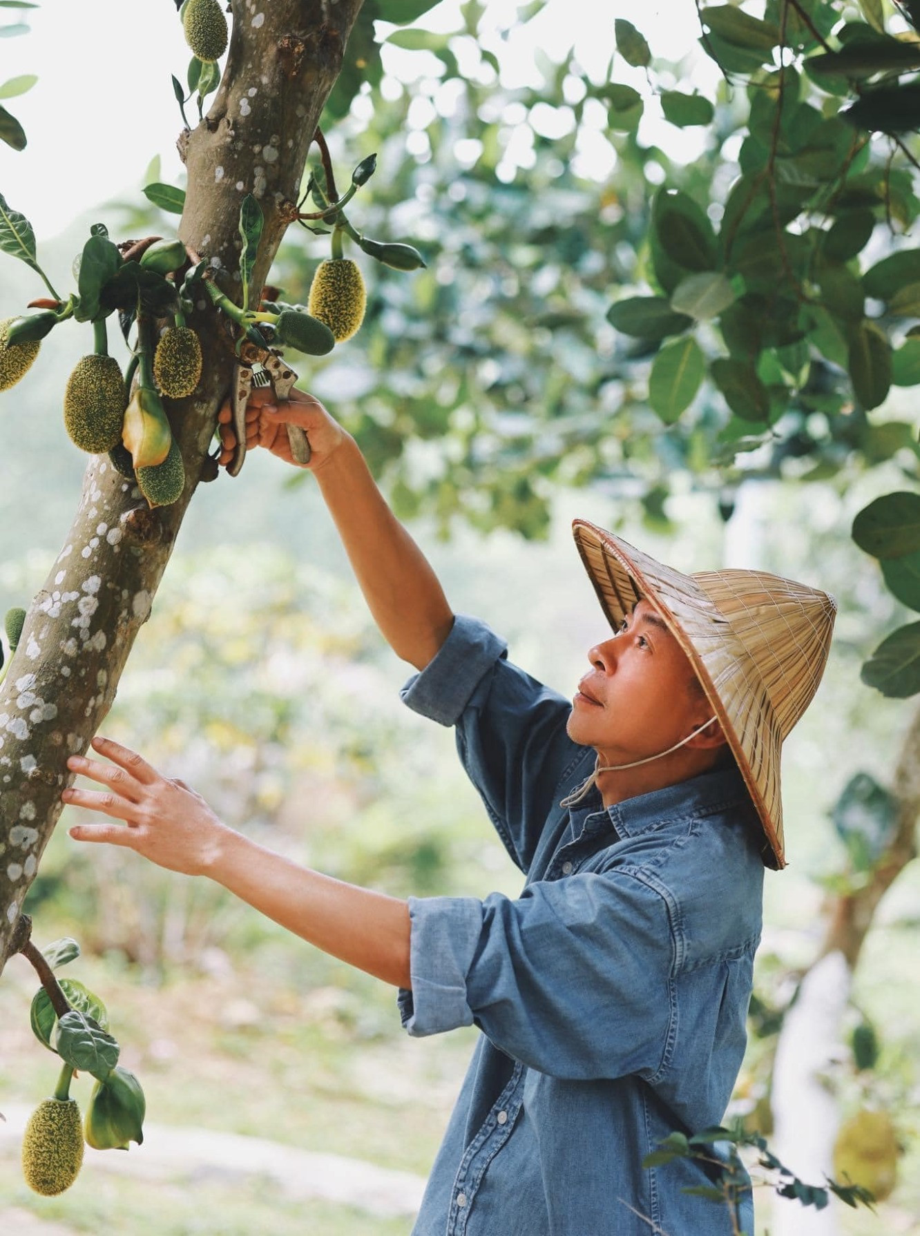 Tuổi xế chiều của 2 nghệ sĩ đất Bắc: Sống giản dị, thích chăm sóc vườn tược dù không thiếu tiền- Ảnh 6.