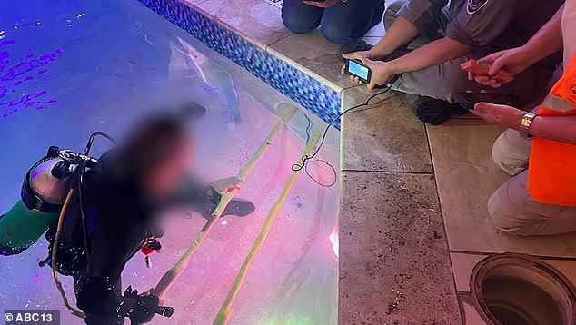 Bé gái xuống bể bơi khách sạn rồi mất tích, thi thể được tìm thấy trong cái bẫy chết người- Ảnh 4. Bé gái xuống bể bơi khách sạn rồi mất tích, thi thể được tìm thấy trong cái bẫy chết người- Ảnh 4.