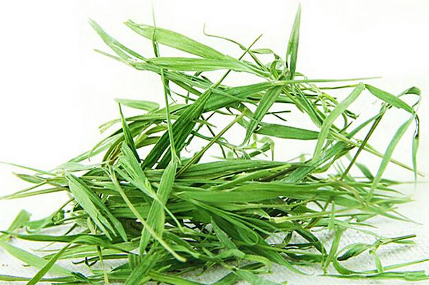 Nhổ cây dại mọc ven đường về trồng, không ngờ là thuốc quý dưỡng thận không tốn một xu- Ảnh 1.