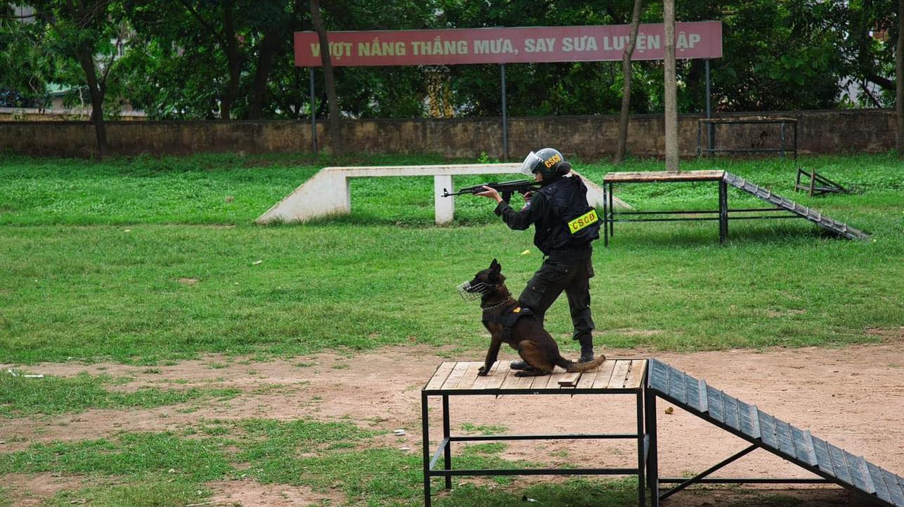 Khám phá sức mạnh đặc biệt của 258 "Cảnh khuyển" Cảnh sát cơ động - Ảnh 13.