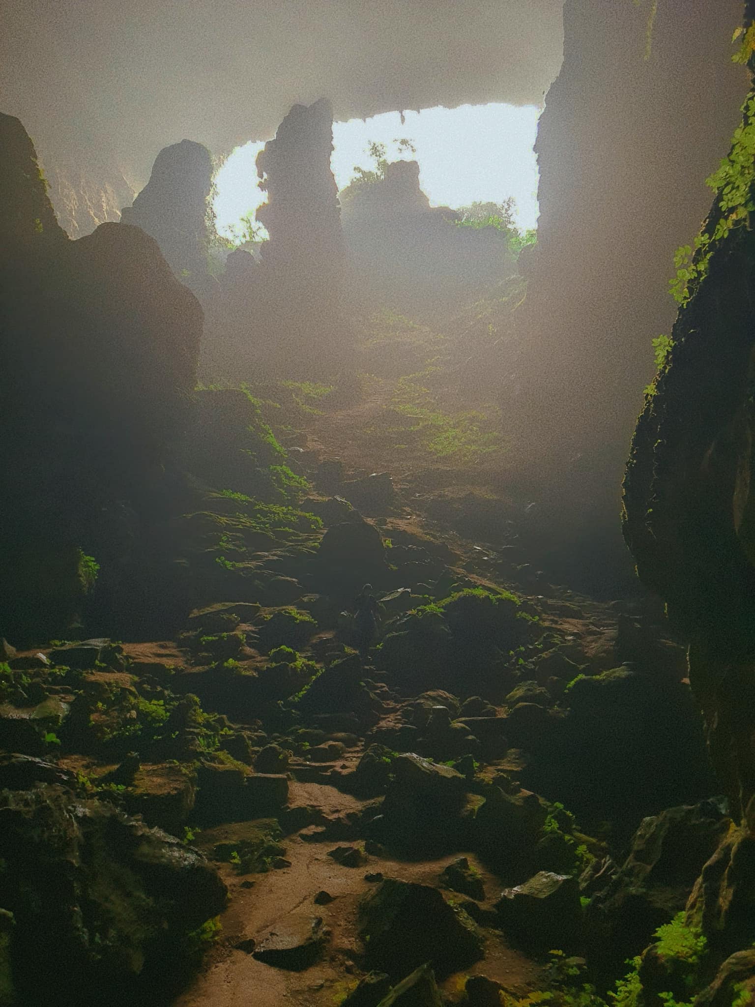 Phát hiện hang động hoang sơ với những khối núi đá vôi hàng trăm triệu tuổi, cách Hà Nội chỉ hơn 200km- Ảnh 8. Phát hiện hang động hoang sơ với những khối núi đá vôi hàng trăm triệu tuổi, cách Hà Nội chỉ hơn 200km- Ảnh 8.