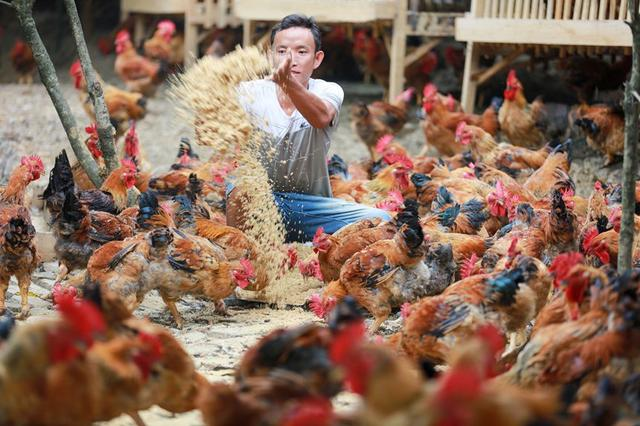 Họp lớp báo 23 người tham dự, tới lúc đi ăn lại thành 54 người: Ăn xong tôi lặng lẽ rời nhóm lớp!- Ảnh 1.