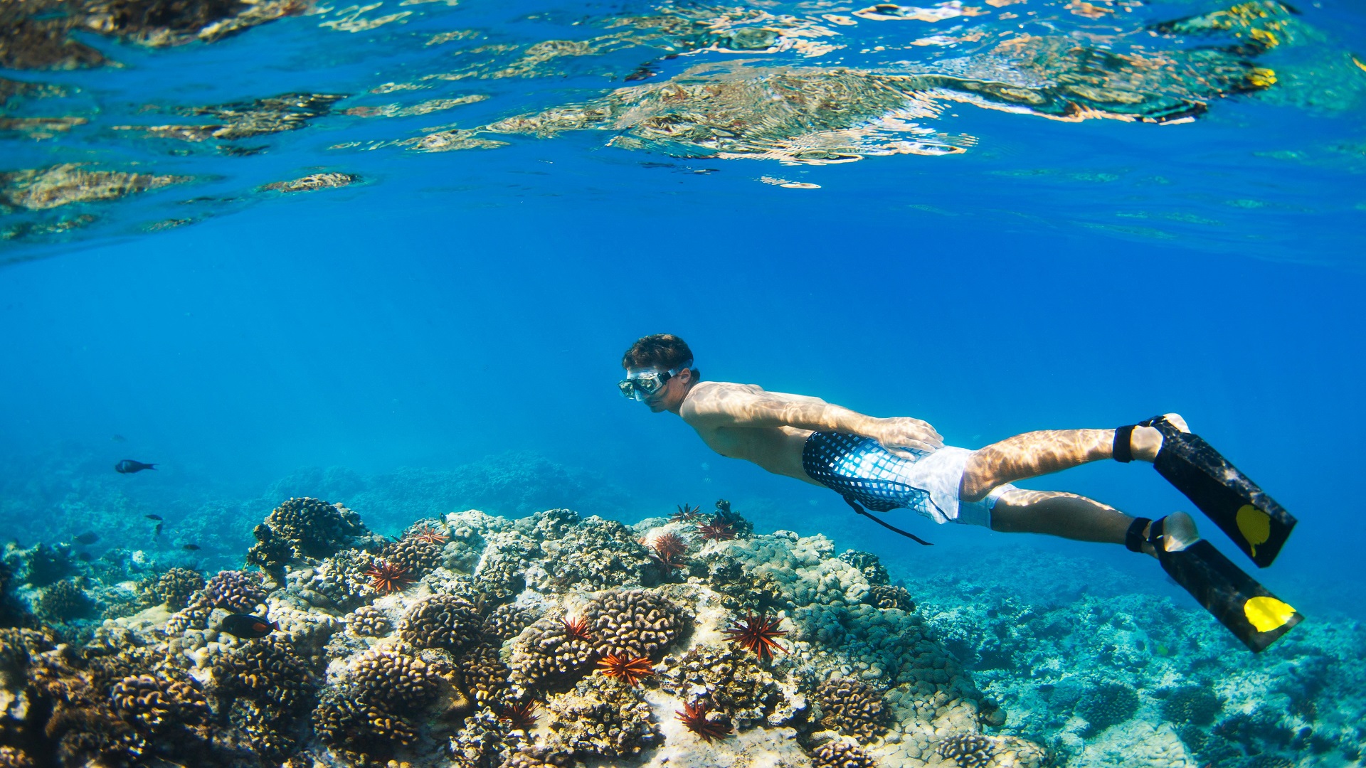 Phát hiện bãi biển ít lên quảng cáo chỉ cách Nha Trang 60km, mệnh danh là “thủ phủ” của loạt resort 5 sao- Ảnh 6.
