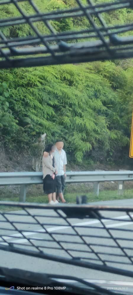 Người phụ nữ đứng giữa đường khiến tài xế xe bán tải phanh gấp: Vài giây sau thì tai họa xảy ra- Ảnh 3. Người phụ nữ đứng giữa đường khiến tài xế xe bán tải phanh gấp: Vài giây sau thì tai họa xảy ra- Ảnh 3.