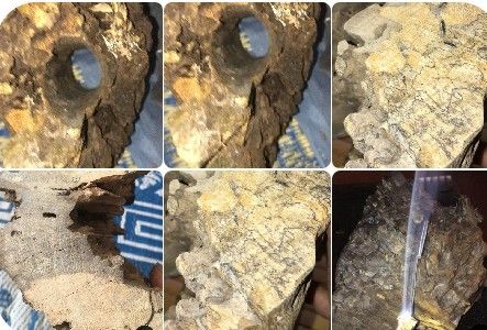 Loại gỗ triệu cây mới có một ở Việt Nam: Đại gia Nhật, Trung dốc cả hầu bao không mua nổi vì quá hiếm- Ảnh 4. Loại gỗ triệu cây mới có một ở Việt Nam: Đại gia Nhật, Trung dốc cả hầu bao không mua nổi vì quá hiếm- Ảnh 4.