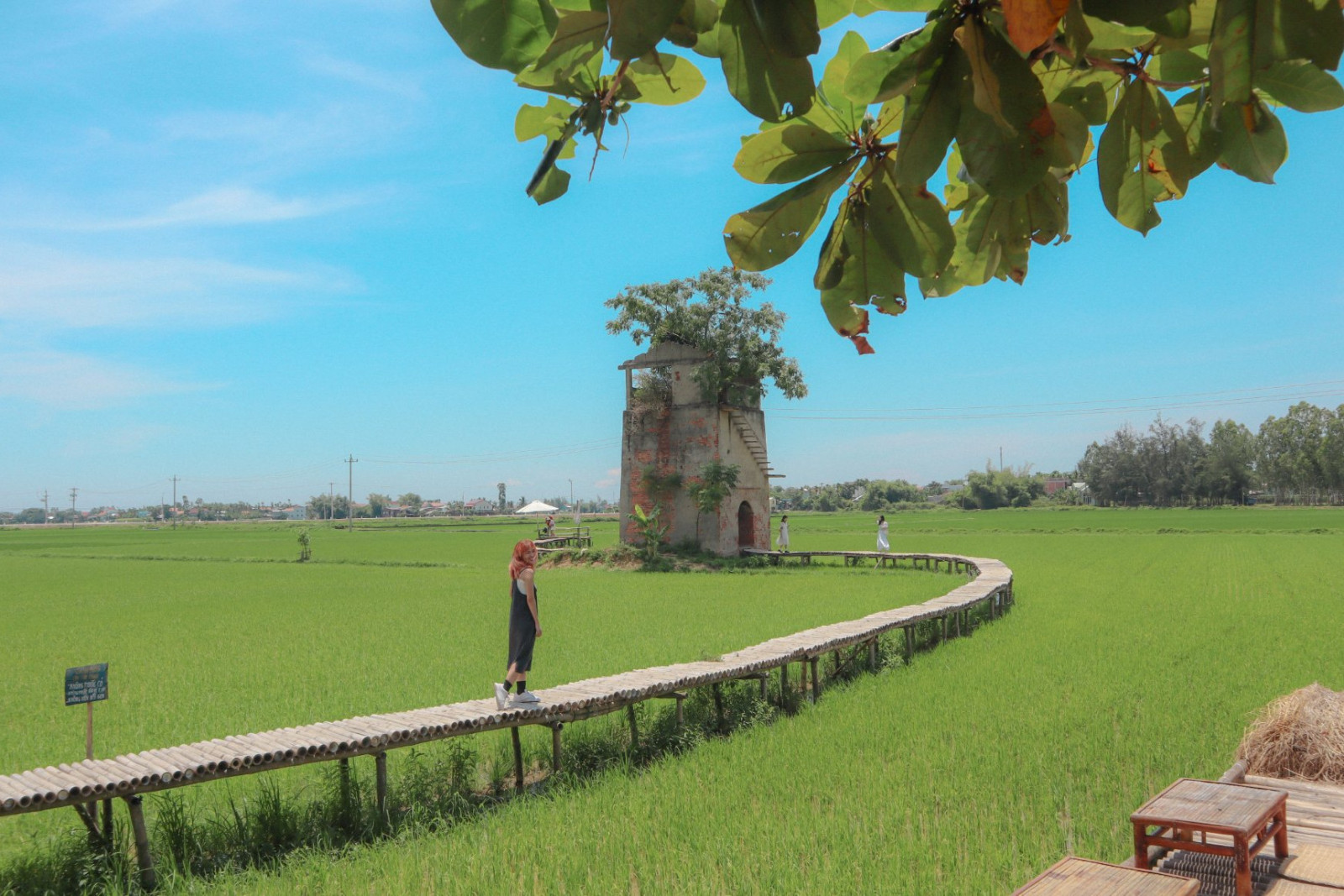 Phát hiện nơi bị bỏ hoang hơn 20 năm ở Hội An, giờ thu hút cực đông khách đến thăm, nằm giữa đồng lúa xanh- Ảnh 8.