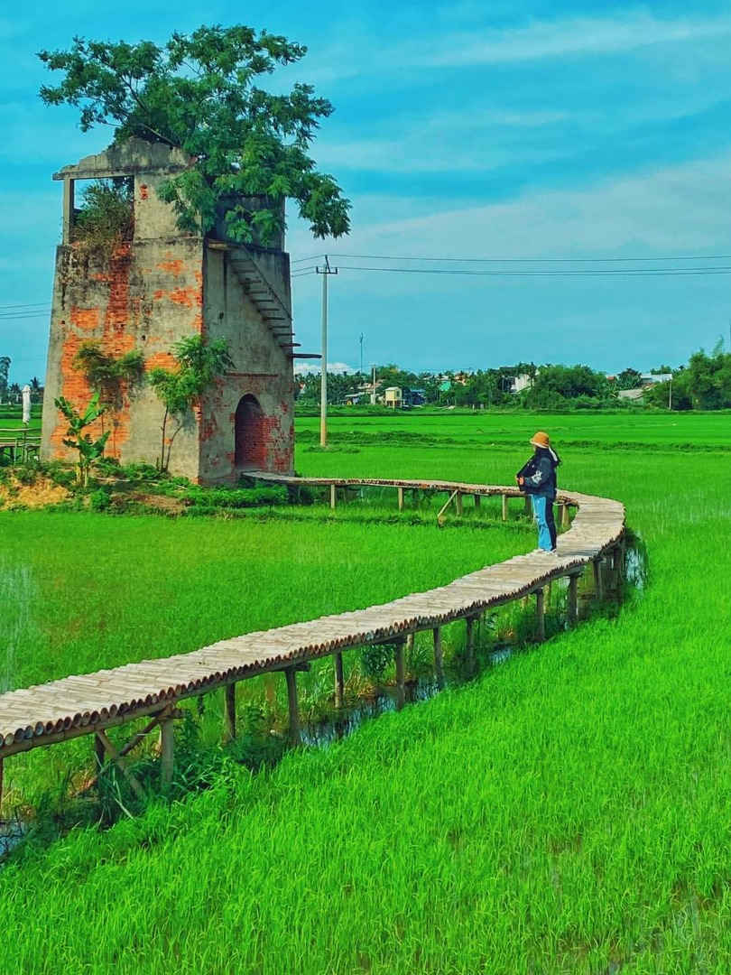 Phát hiện nơi bị bỏ hoang hơn 20 năm ở Hội An, giờ thu hút cực đông khách đến thăm, nằm giữa đồng lúa xanh- Ảnh 7.