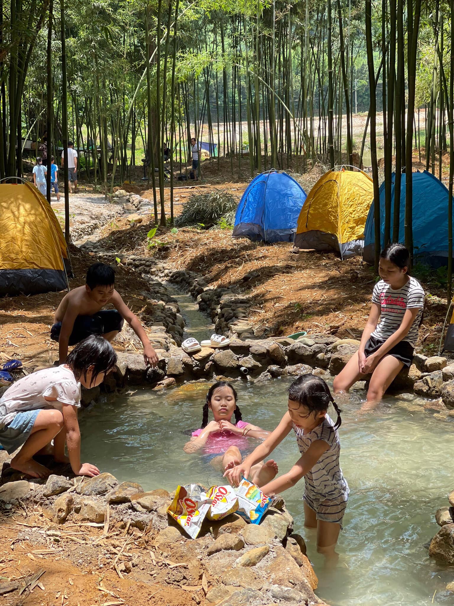 Phát hiện điểm đến xanh như trong phim kiếm hiệp, ngay ngoại thành Hà Nội, cách trung tâm chưa tới 50km- Ảnh 6.
