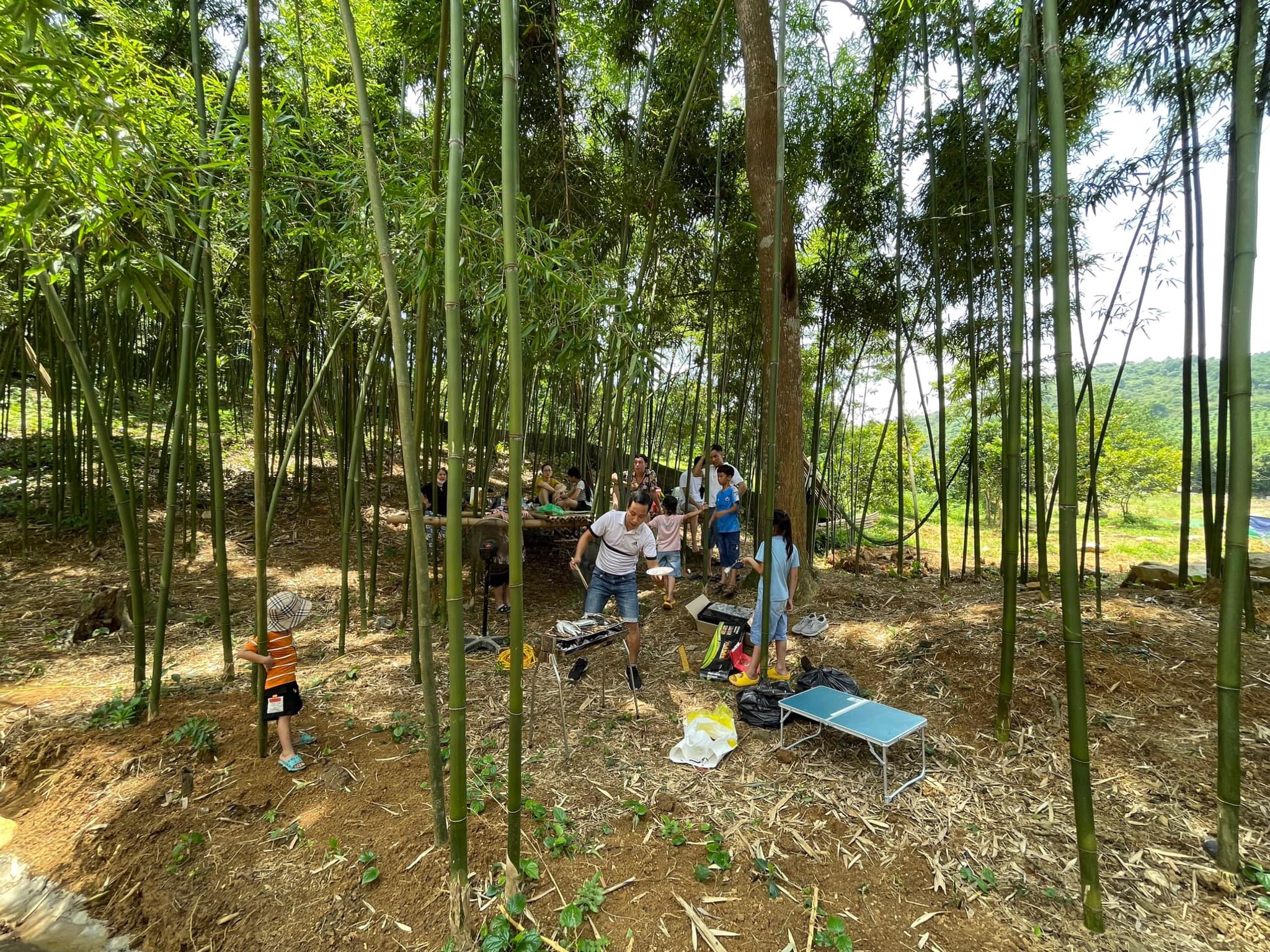 Phát hiện điểm đến xanh như trong phim kiếm hiệp, ngay ngoại thành Hà Nội, cách trung tâm chưa tới 50km- Ảnh 5.
