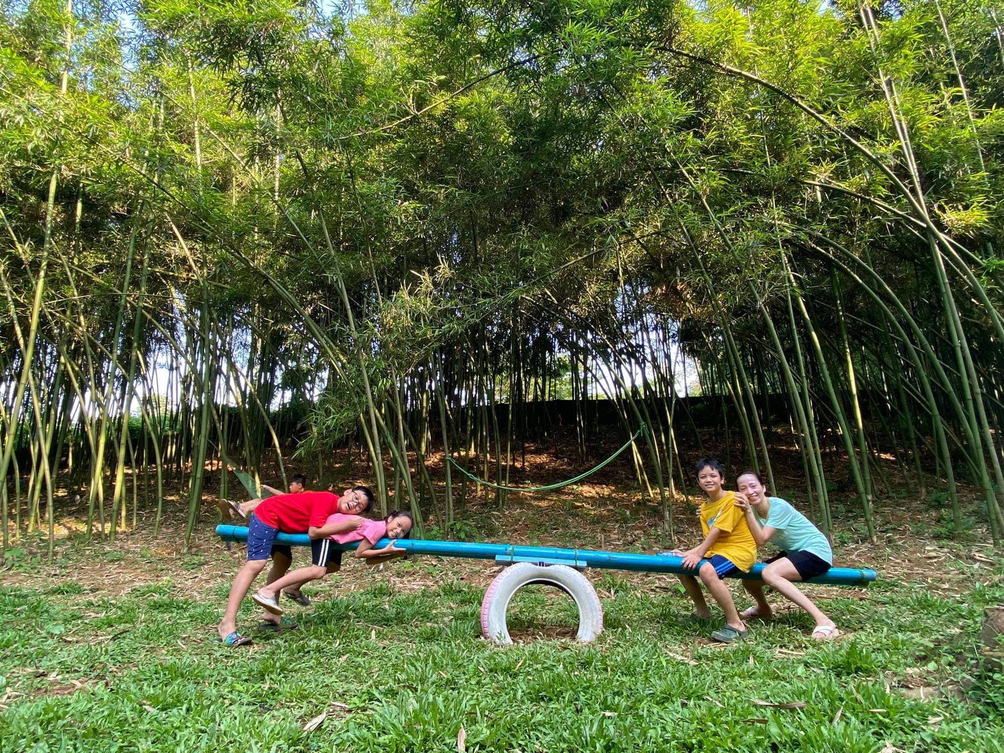 Phát hiện điểm đến xanh như trong phim kiếm hiệp, ngay ngoại thành Hà Nội, cách trung tâm chưa tới 50km- Ảnh 9.